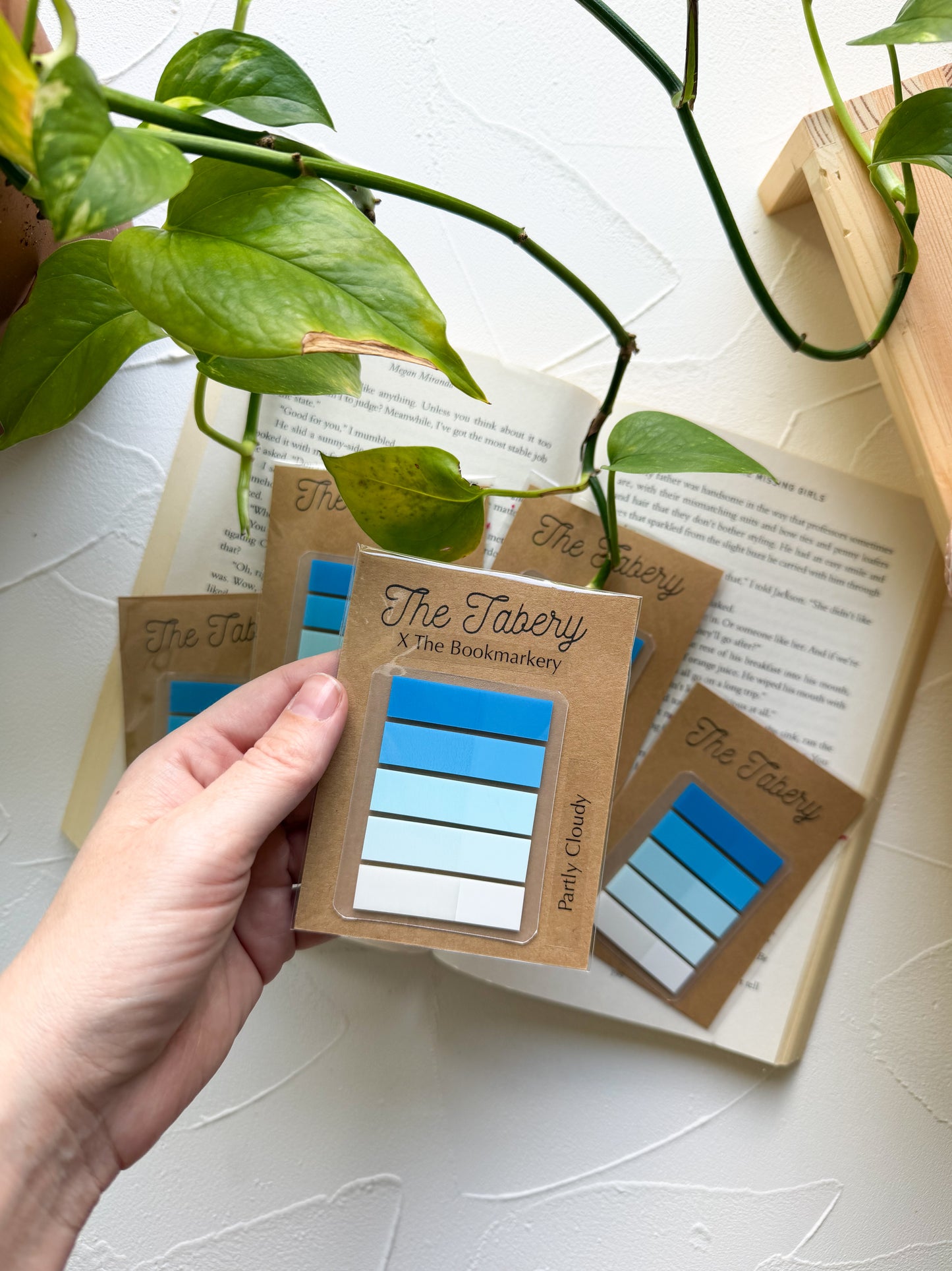 Partly Cloudy The Tabery X The Bookmarkery Tab Collab Set